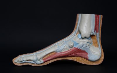 Foot x-ray: Purpose, procedure and risks